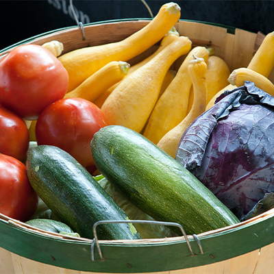 basket containing tomatoes, squash and zuccini