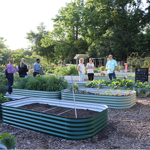 six individuals standing in a community garden talking with each other