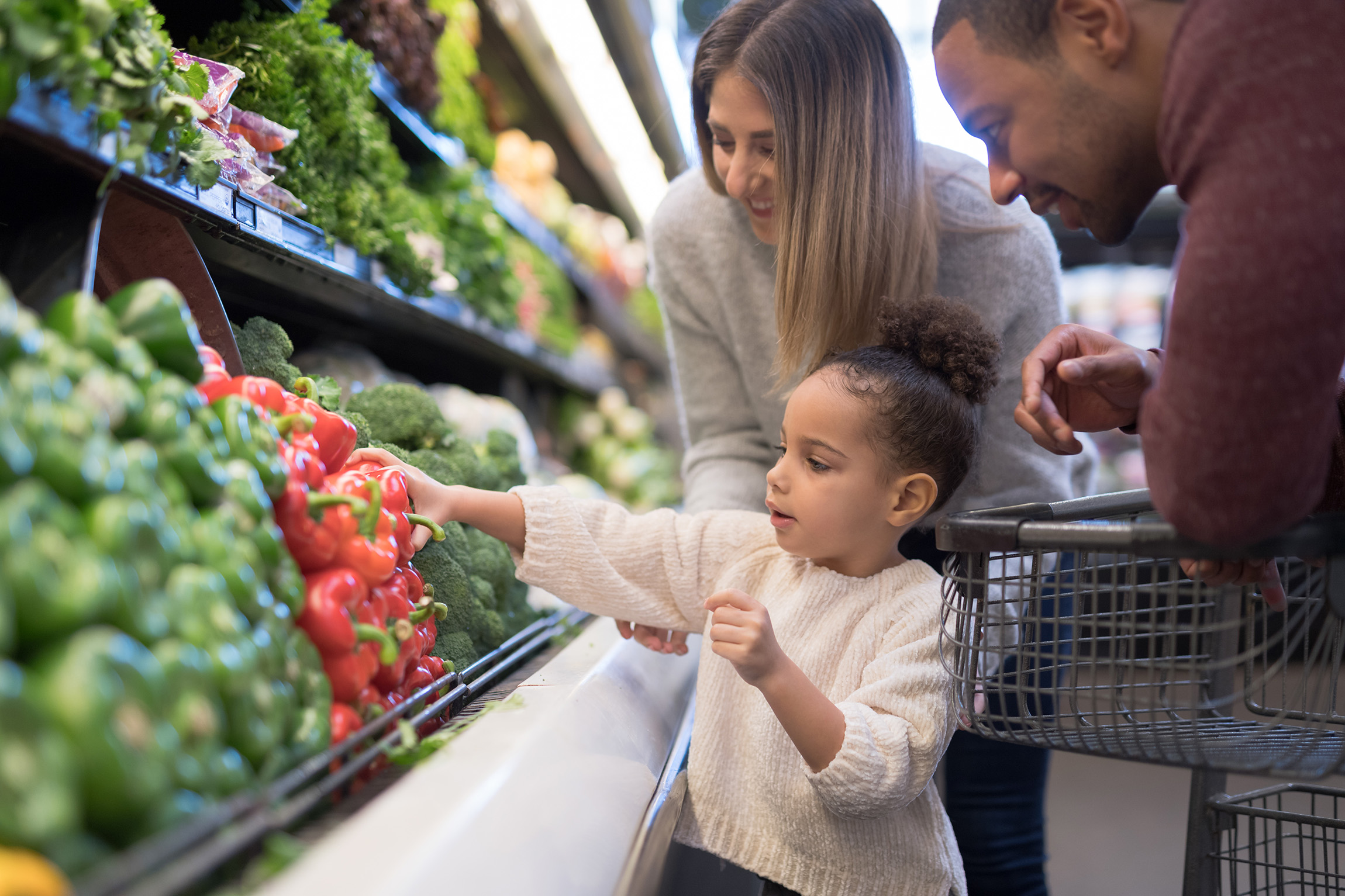 Family selecting vegetables at grocery store