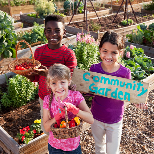 a group of kids in a garden with baskets of vegetables, one holds a painted sign that says community garden