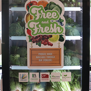 closer shot of the free and fresh fridge showing a full fridge of green vegetables