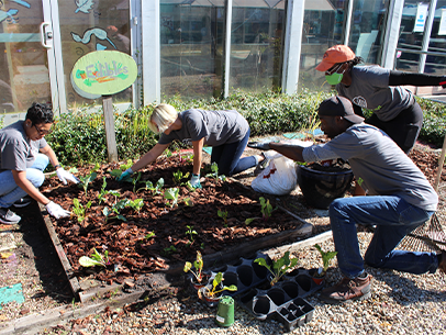 Four volunteers are kneeling on the ground and gardening at the Lowcountry Children's Museum. There is a sign sticking out of the garden that says Edibles