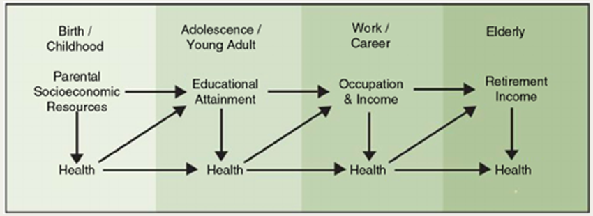 A graphic showing how one's socioeconomic status when they are born impacts them at every stage of life and also impacts health
